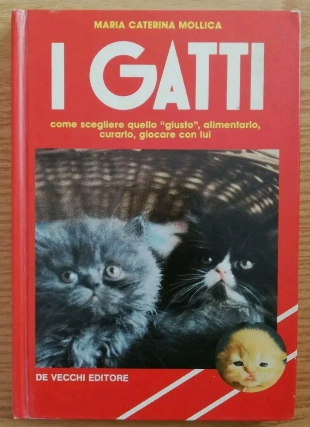 I gatti)